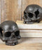 Cast Iron Skull