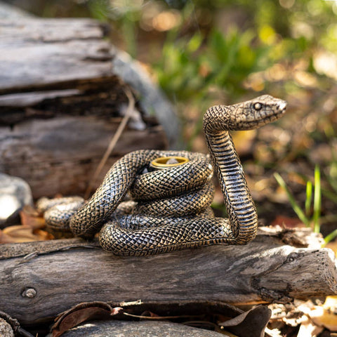 Candle Holder: Snake