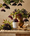 Tonic: Elderberry Immune Syrup for Cold, Cough + Flu Seasonal Support
