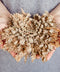 Rose of Jericho Resurrection Plant