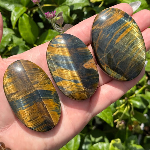 Tiger's Eye: Blue & Yellow, Palm Stone - 1 pc