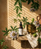 Tincture: Passionflower for Calm Focus + Anxiety Support