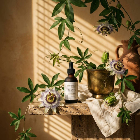 Tincture: Passionflower for Calm Focus + Anxiety Support