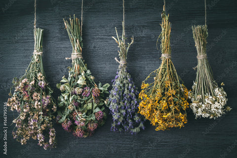 Herbs + Botanicals