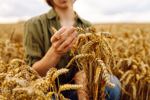 Lammas