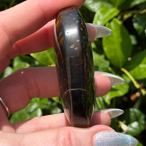 Tiger's Eye: Blue & Yellow, Palm Stone - 1 pc