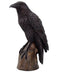 6" Raven (Resin)