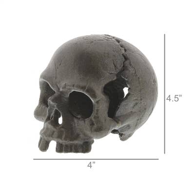 Cast Iron Skull