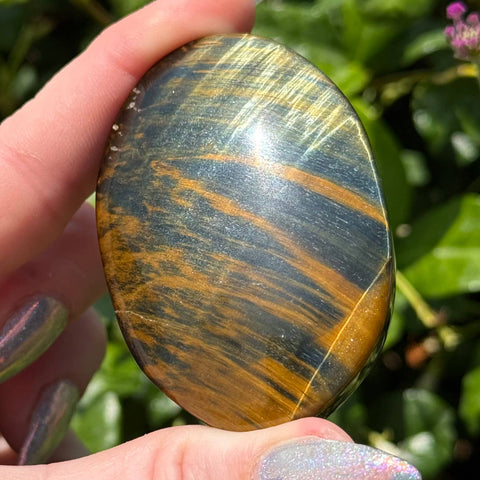 Tiger's Eye: Blue & Yellow, Palm Stone - 1 pc