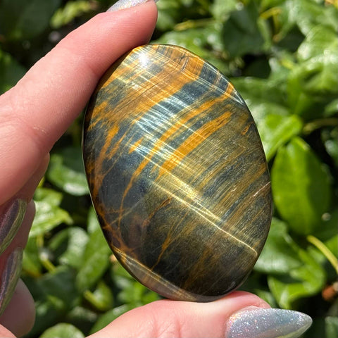 Tiger's Eye: Blue & Yellow, Palm Stone - 1 pc