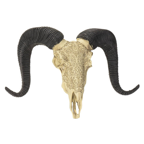 Carved Ram Decorative Skull (Resin)