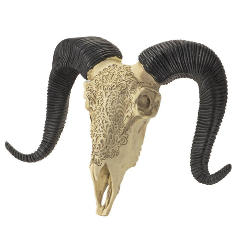 Carved Ram Decorative Skull (Resin)