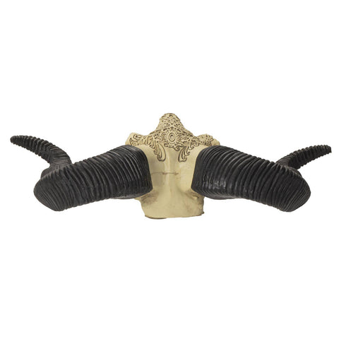 Carved Ram Decorative Skull (Resin)
