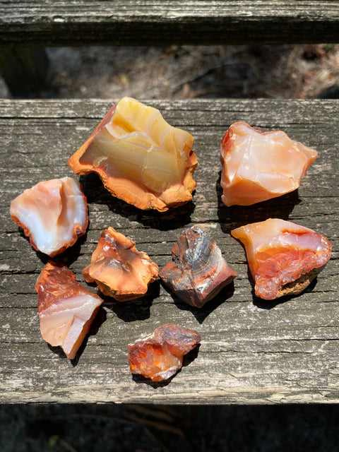 Carnelian: Raw - 1pc