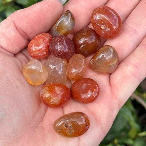 Carnelian: Small Tumbles - 1/2lb bag