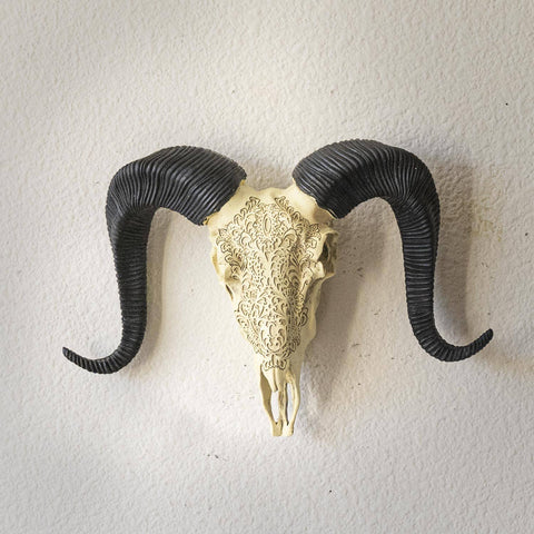 Carved Ram Decorative Skull (Resin)