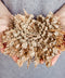 Rose of Jericho Resurrection Plant