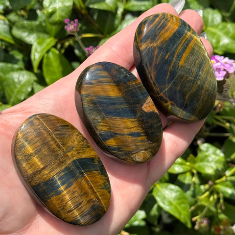 Tiger's Eye: Blue & Yellow, Palm Stone - 1 pc