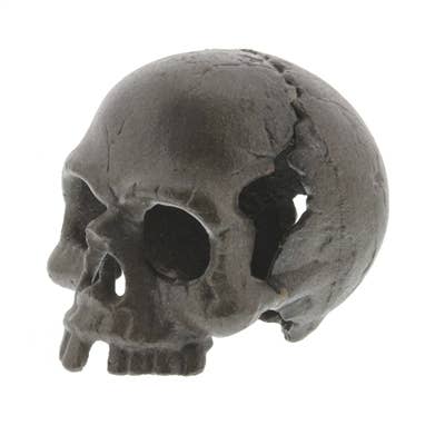 Cast Iron Skull