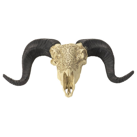 Carved Ram Decorative Skull (Resin)