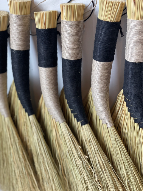 Broom: Duo Brush