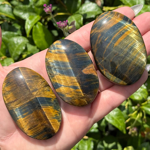 Tiger's Eye: Blue & Yellow, Palm Stone - 1 pc