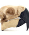 Parrot Skull (Resin)