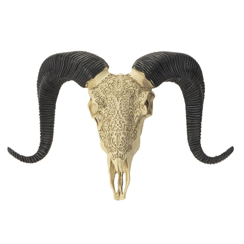 Carved Ram Decorative Skull (Resin)