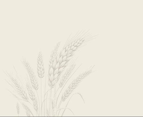 Minimal beige background with a faint line drawing of wheat stalks concentrated in the lower-left corner.